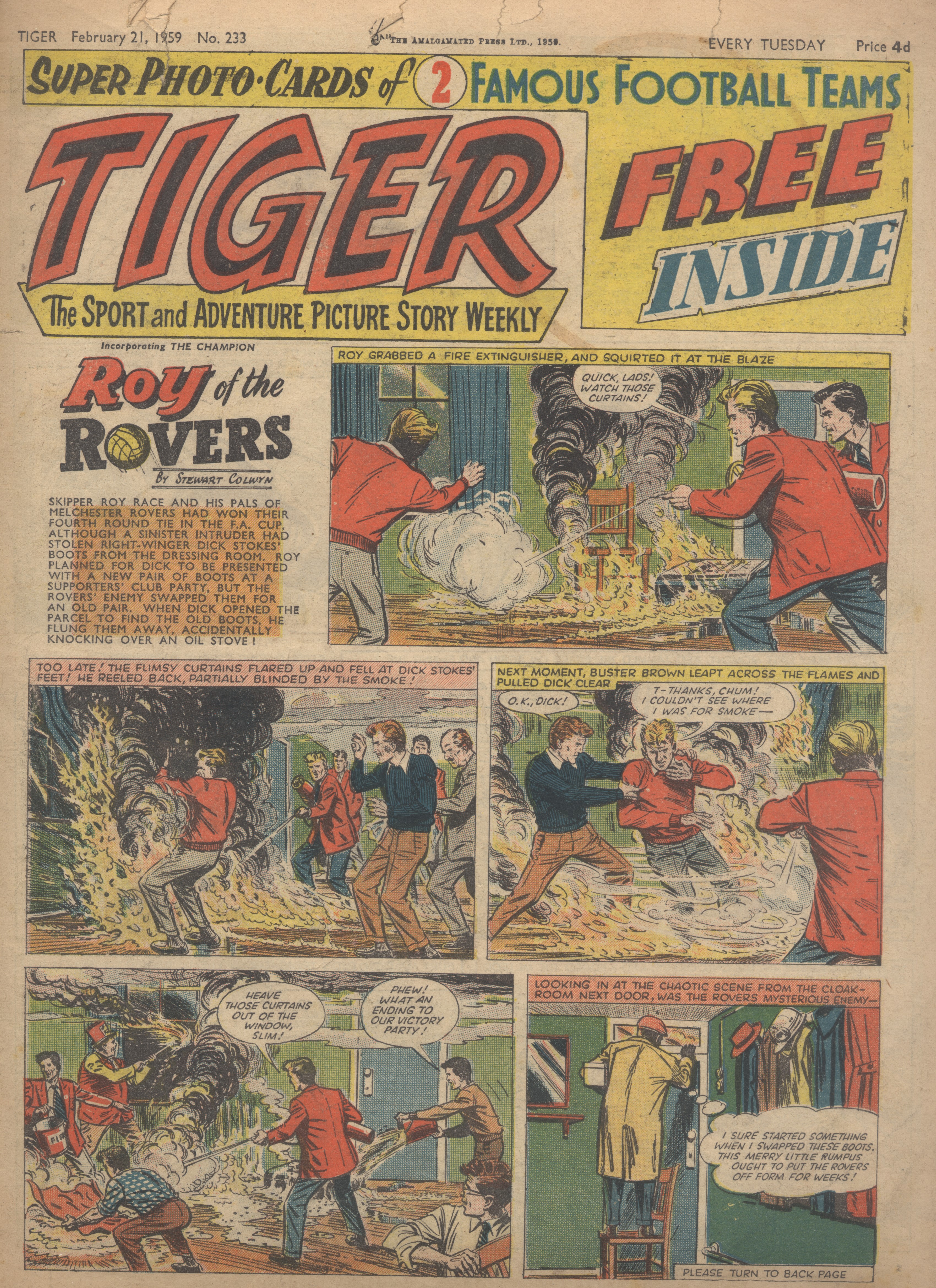 Tiger
